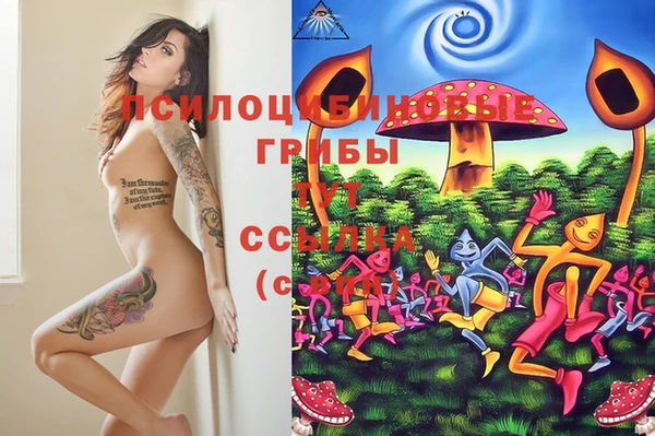 гидра Абдулино