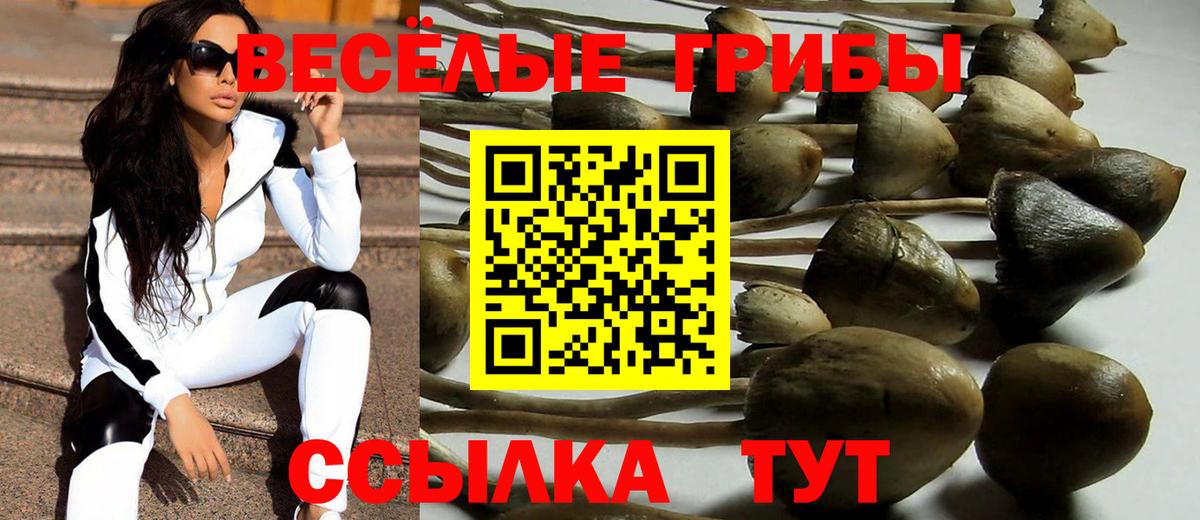 Галлюциногенные грибы Magic Shrooms  Вход с VPN  Домодедово  Галлюциногенные грибы GOLDEN TEACHER 