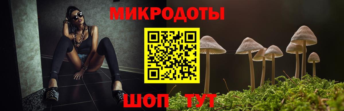 Псилоцибиновые грибы Cubensis Домодедово